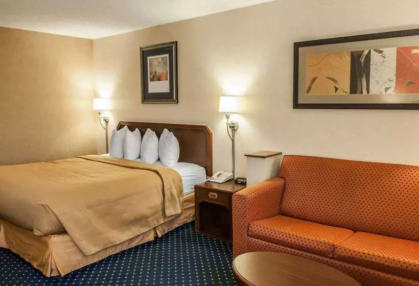 호텔 Quality Inn & Suites