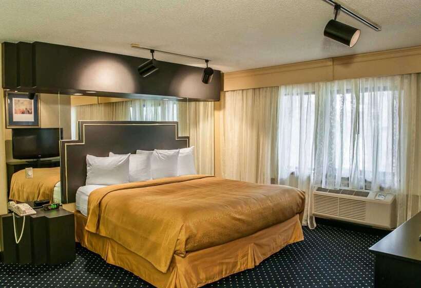 酒店 Quality Inn & Suites