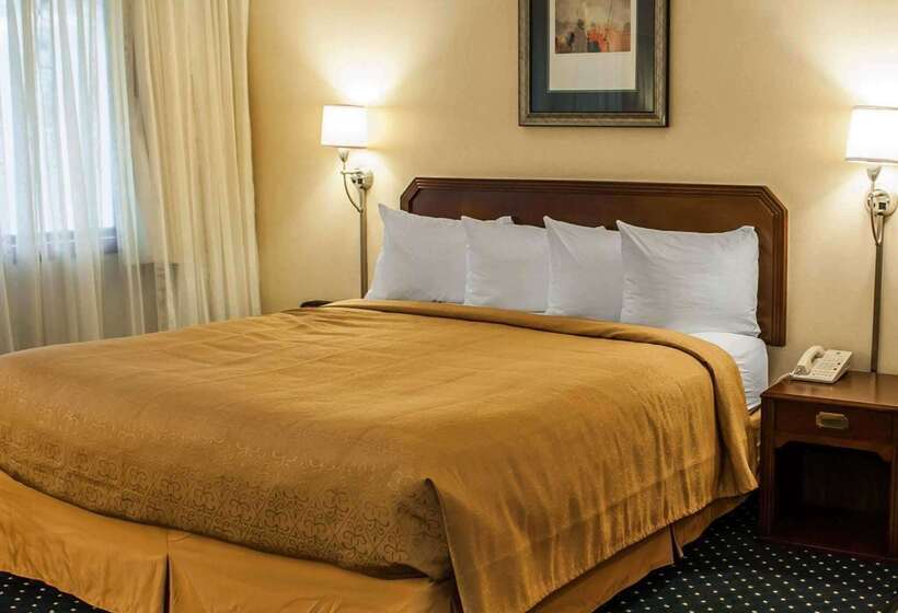 酒店 Quality Inn & Suites