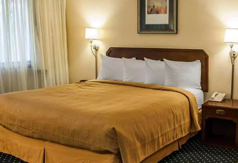 호텔 Quality Inn & Suites