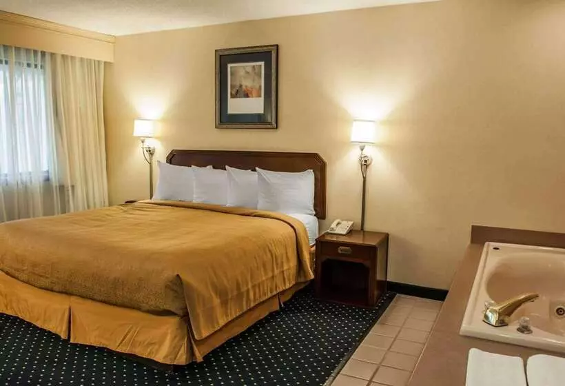 호텔 Quality Inn & Suites