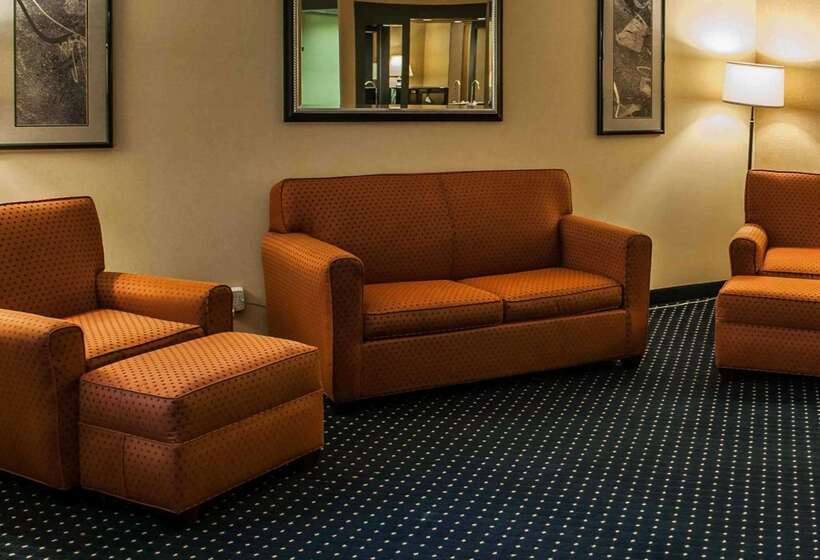 酒店 Quality Inn & Suites