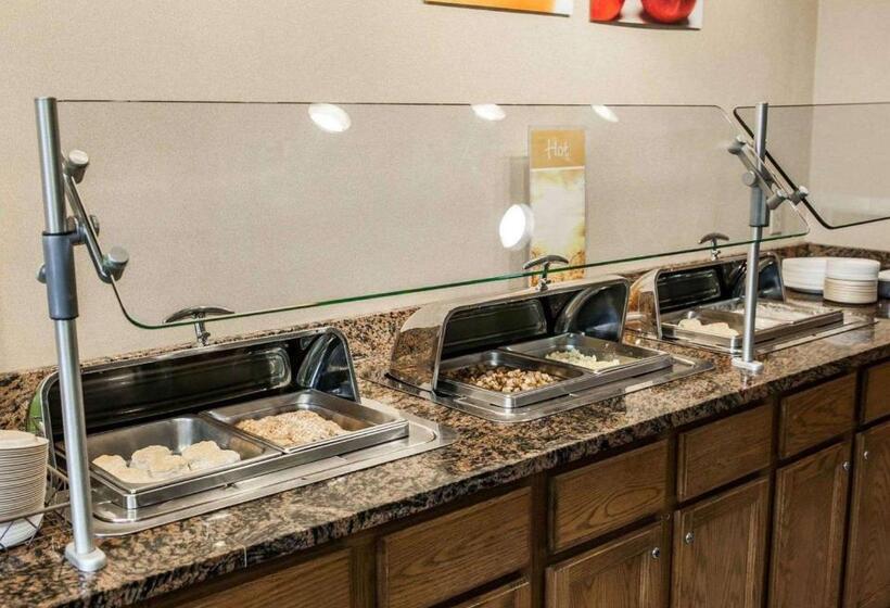 酒店 Quality Inn & Suites