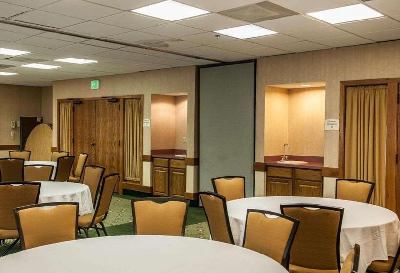 酒店 Quality Inn & Suites