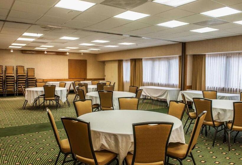 酒店 Quality Inn & Suites