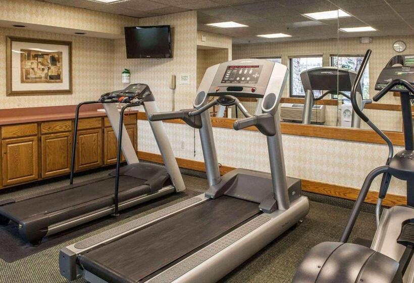 酒店 Quality Inn & Suites