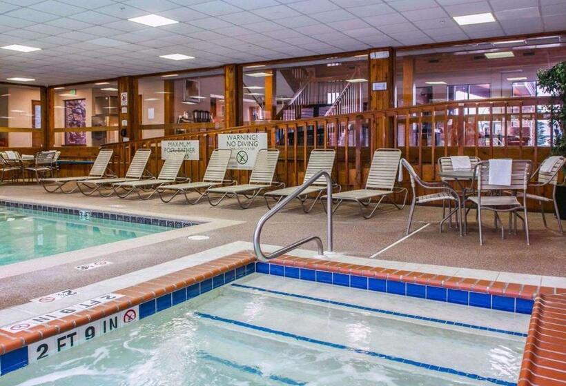 酒店 Quality Inn & Suites