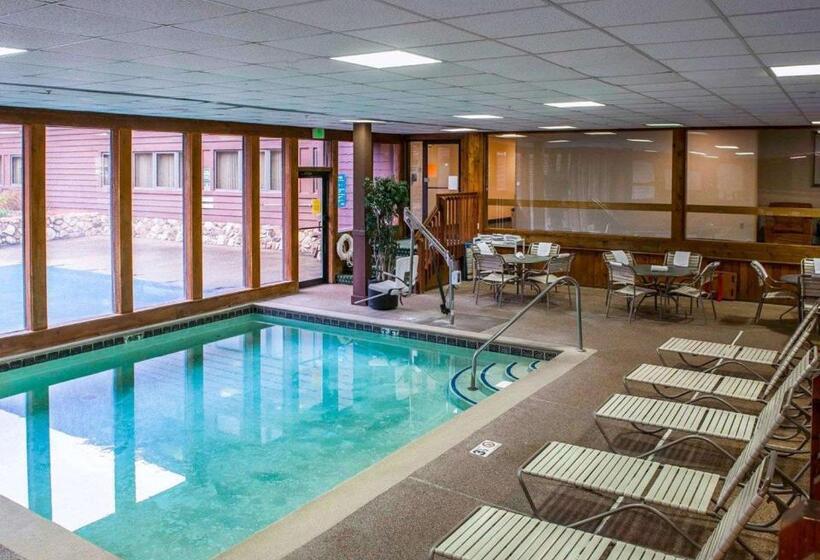 酒店 Quality Inn & Suites