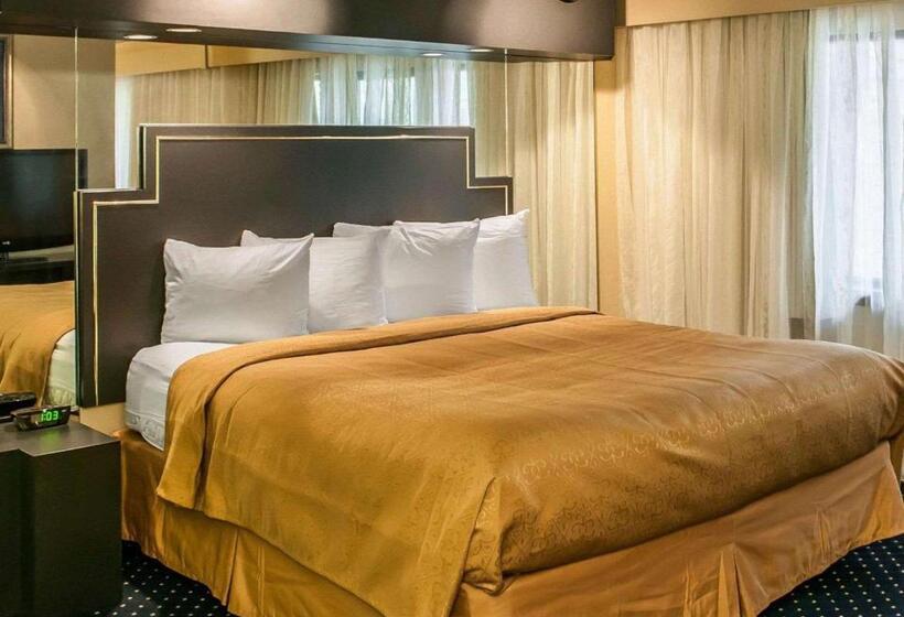 酒店 Quality Inn & Suites