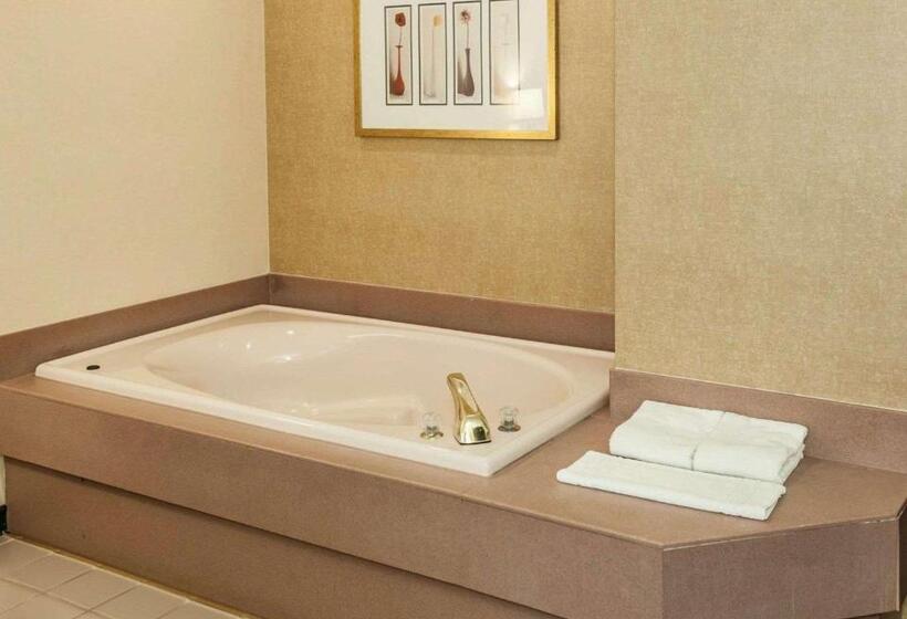 酒店 Quality Inn & Suites