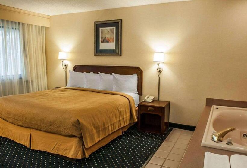 酒店 Quality Inn & Suites