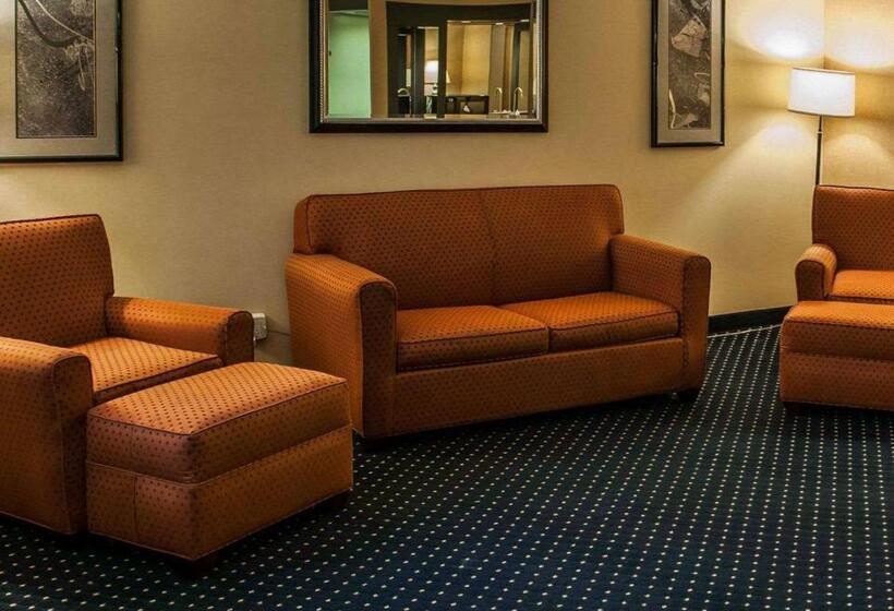 酒店 Quality Inn & Suites