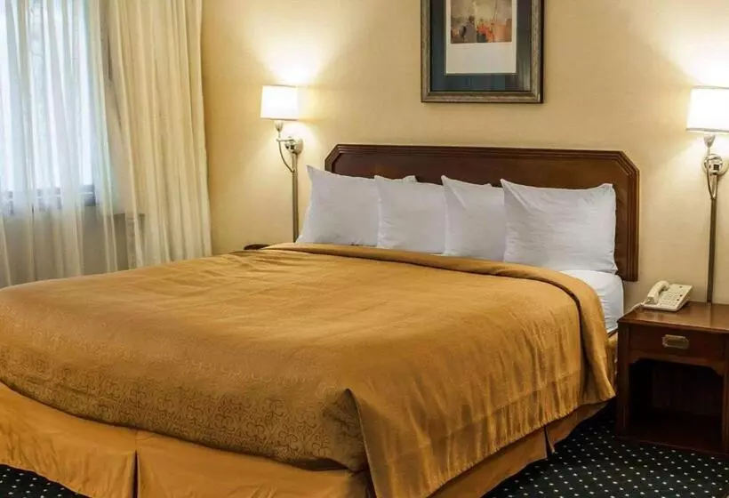 호텔 Quality Inn & Suites
