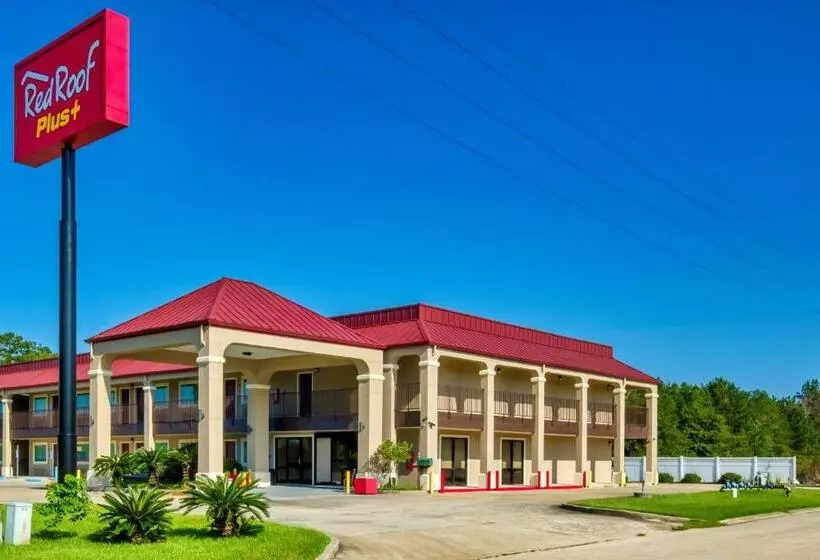 酒店 Red Roof Inn Plus+ Hammond