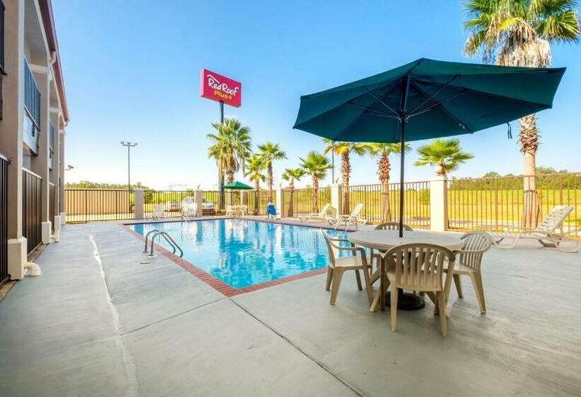 ホテル Red Roof Inn Plus+ Hammond