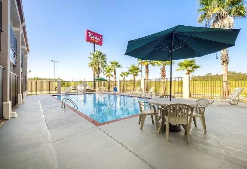 酒店 Red Roof Inn Plus+ Hammond