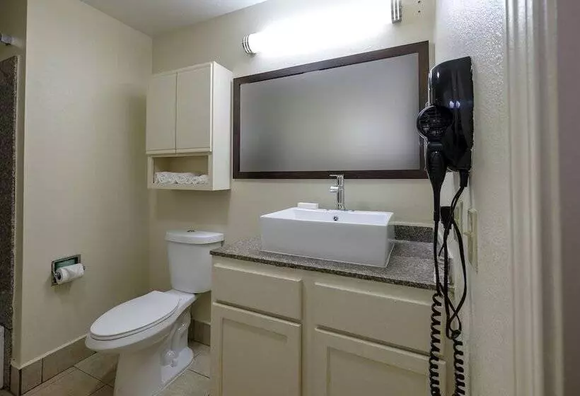 酒店 Red Roof Inn Plus+ Hammond