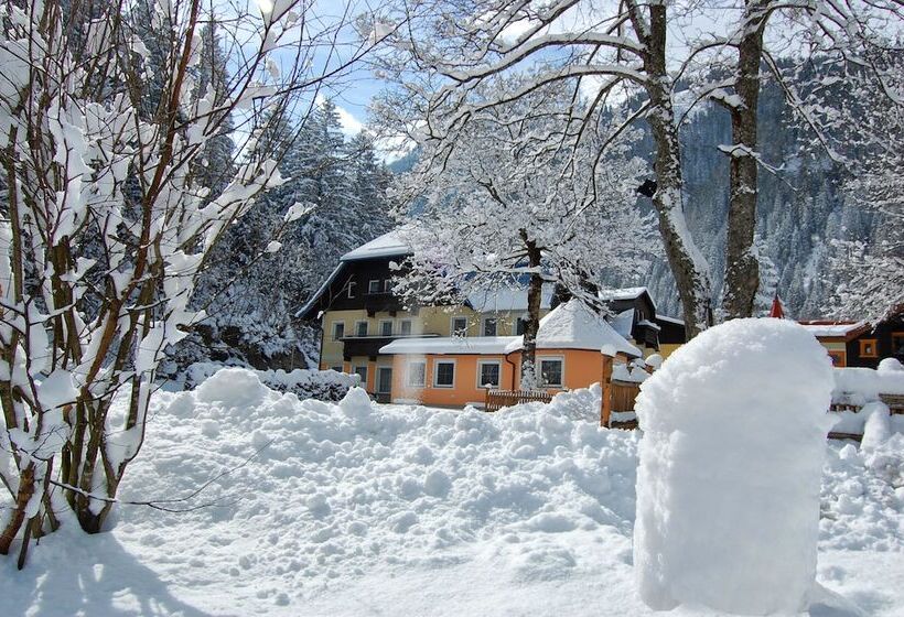 بنسيون Grubers, Hotel Appartments Gastein