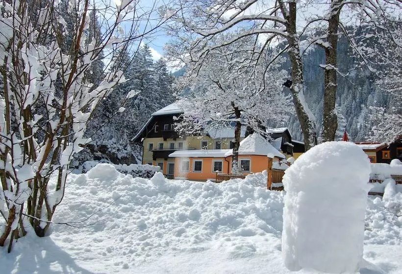 פנסיון Grubers, Hotel Appartments Gastein