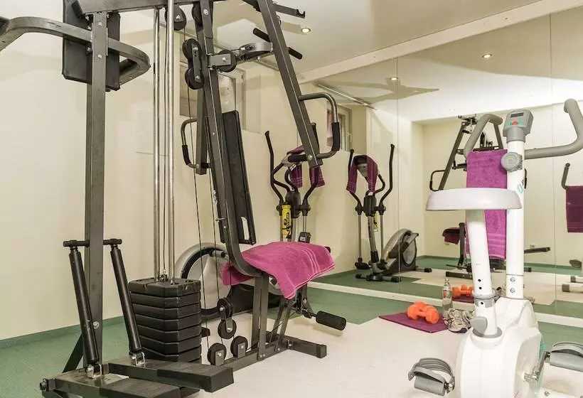 פנסיון Grubers, Hotel Appartments Gastein