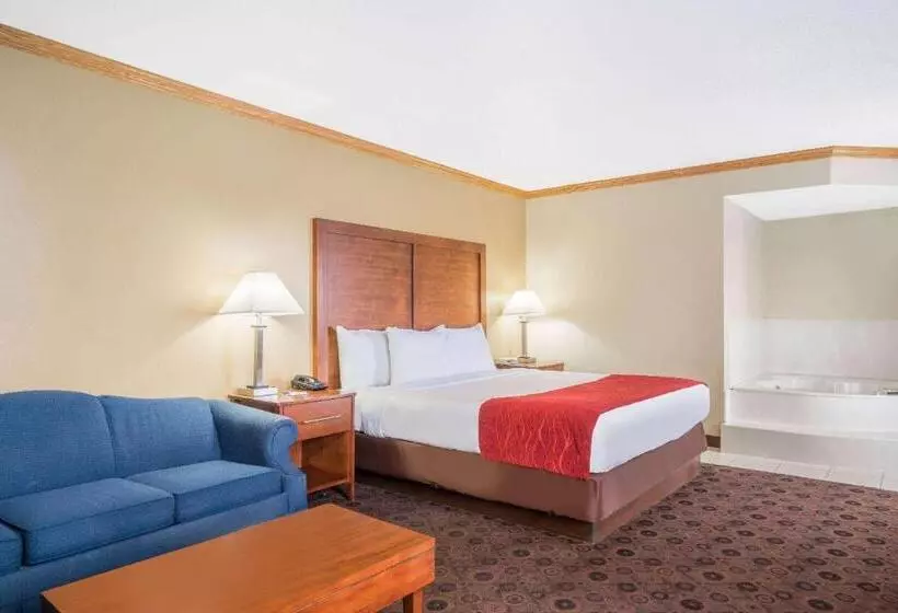 酒店 Baymont By Wyndham Kasson Rochester Area