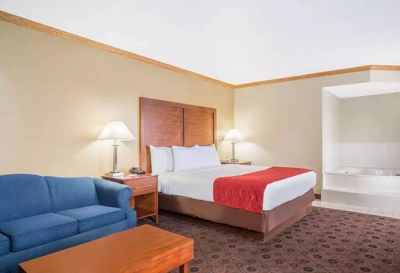 酒店 Baymont By Wyndham Kasson Rochester Area