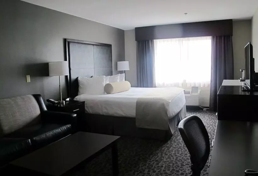 酒店 Best Western Plus Aberdeen