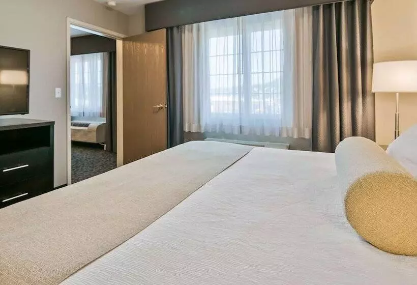 酒店 Best Western Plus Aberdeen