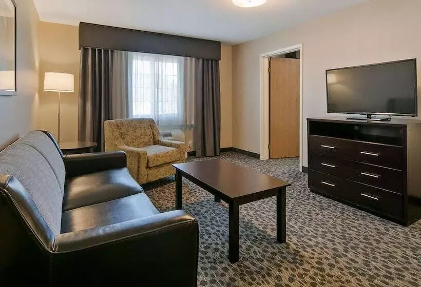 酒店 Best Western Plus Aberdeen