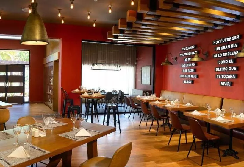 호텔 Catalonia Privileged Maroma - All Inclusive