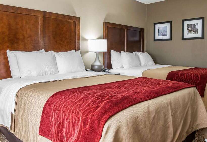 Отель Comfort Inn & Suites