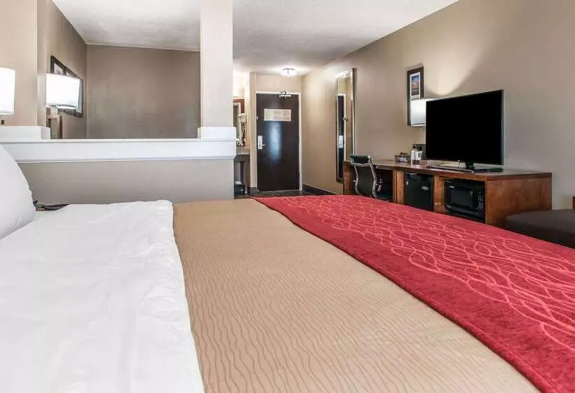 Hotel Comfort Inn & Suites