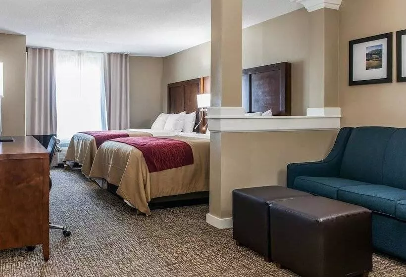 Hotel Comfort Inn & Suites