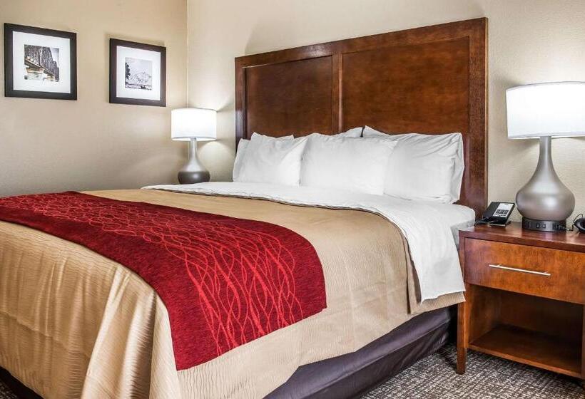 Отель Comfort Inn & Suites