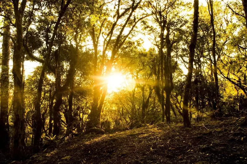 Hotel Pousada Sky Chales Da Montanha