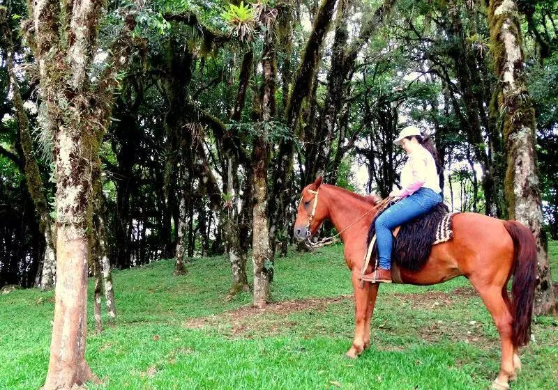 Hotel Pousada Sky Chales Da Montanha