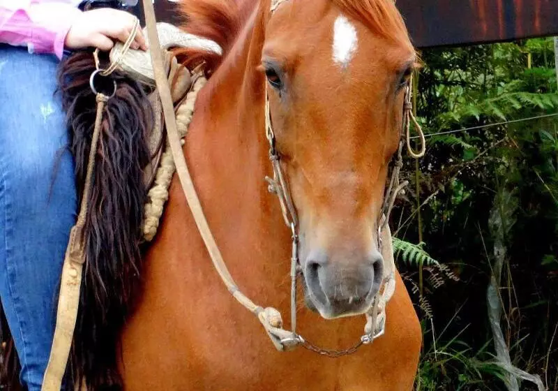 Hotel Pousada Sky Chales Da Montanha