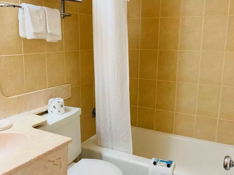 Motel Value Lodge   Gainesville