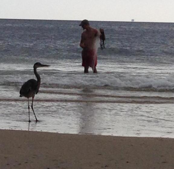 אתר נופש Gulf Shores Plantation