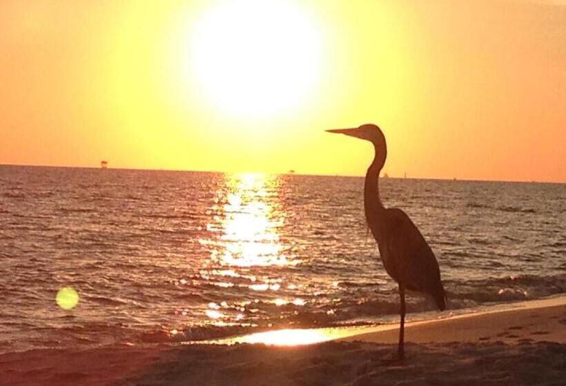 אתר נופש Gulf Shores Plantation