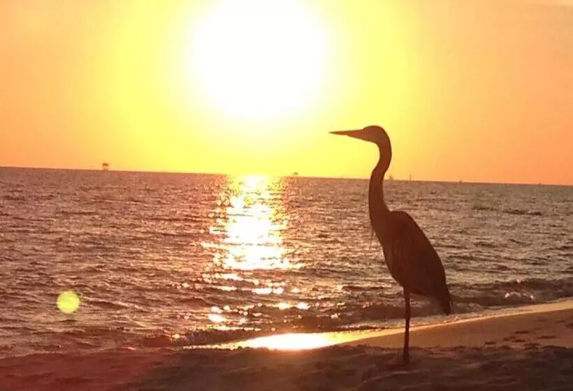 אתר נופש Gulf Shores Plantation