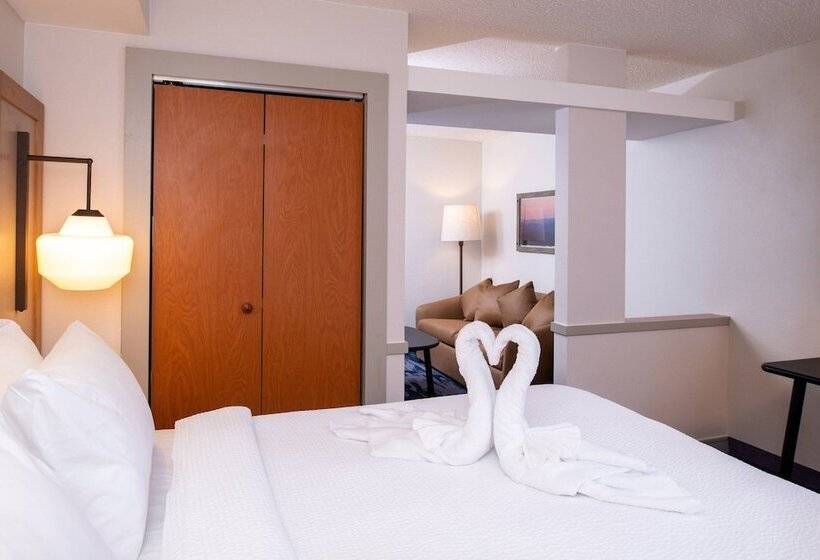 فندق Fairfield Inn & Suites High Point Archdale