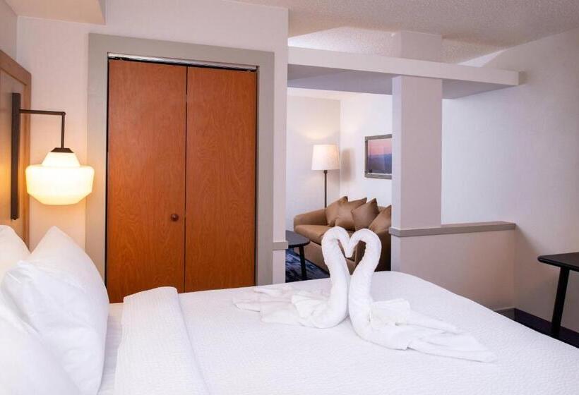 فندق Fairfield Inn & Suites High Point Archdale