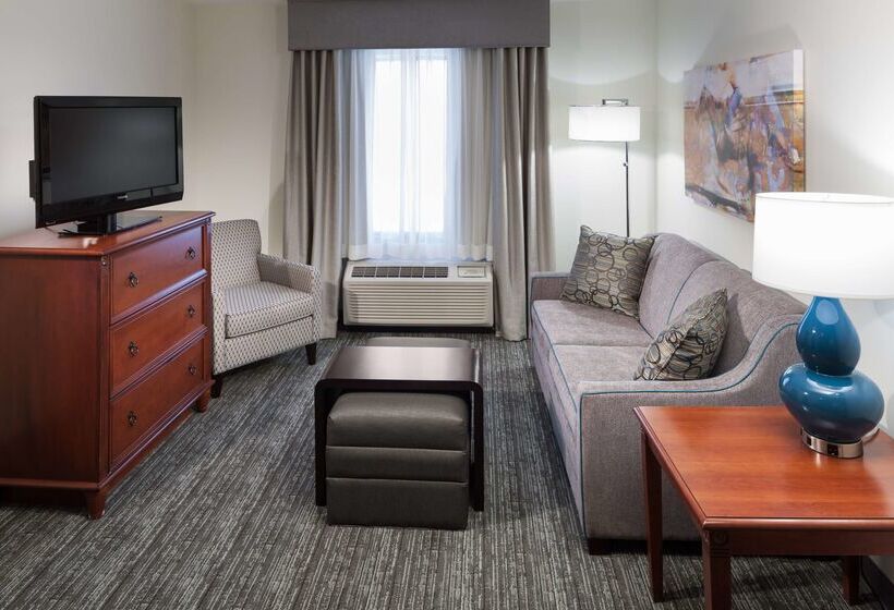 호텔 Homewood Suites By Hilton Denton