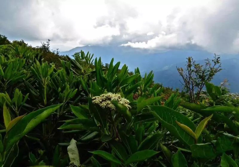 Luxbury Inn & Suites