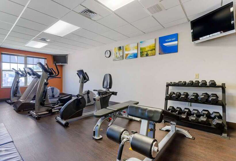 ホテル Comfort Inn & Suites