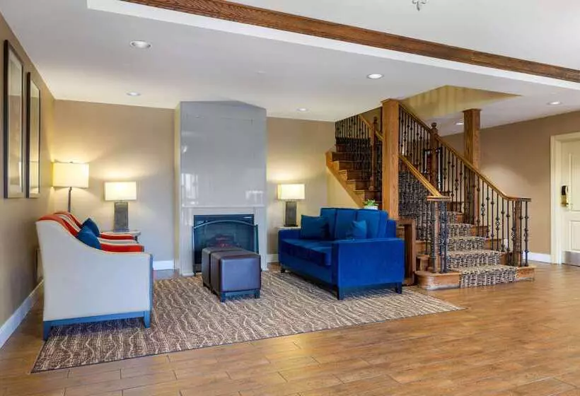 ホテル Comfort Inn & Suites