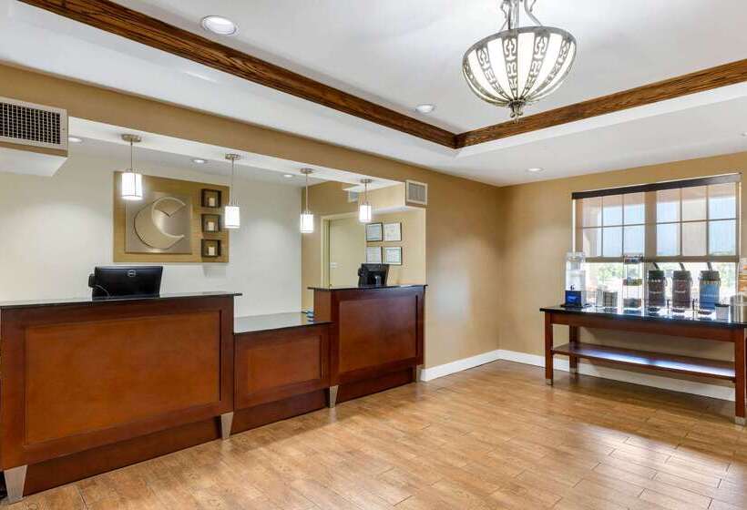 ホテル Comfort Inn & Suites