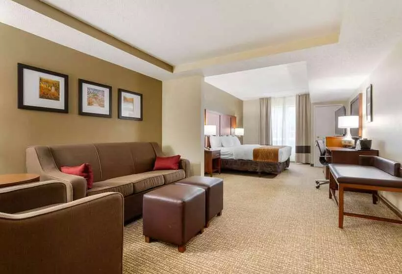 ホテル Comfort Inn & Suites