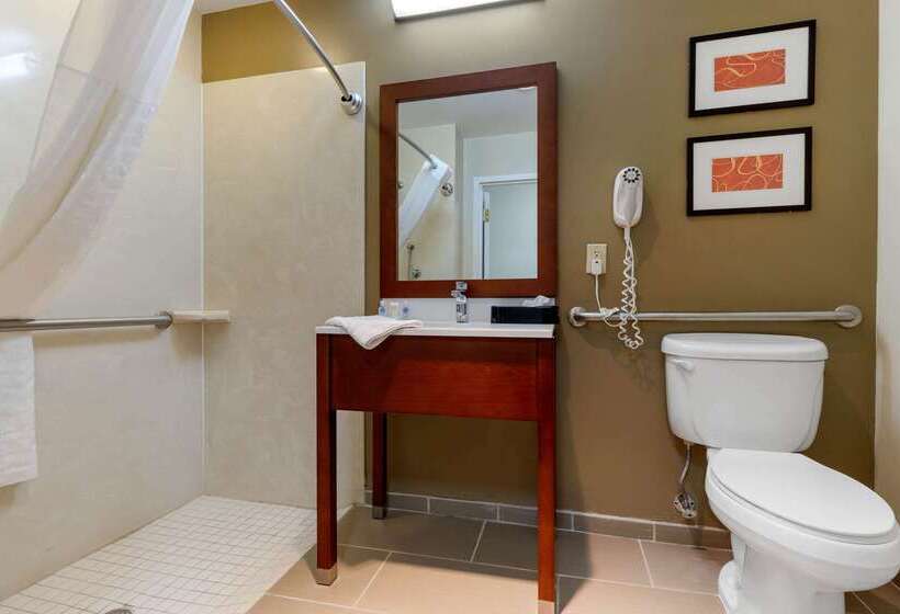 ホテル Comfort Inn & Suites